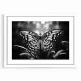 Framed wall art featuring a colorful butterfly design, showcasing intricate insect and arachnid illustrations with a white mat, perfect for nature enthusiasts.