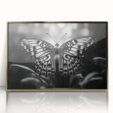 Framed wall art featuring a vibrant butterfly design, showcasing intricate insect and arachnid details with a gold-accented acrylic finish, perfect for home decor.