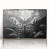 Framed wall art featuring a vibrant butterfly design, part of the insect and arachnid collection, with a sleek silver acrylic finish, perfect for modern decor.