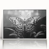 Framed wall art showcasing a beautiful butterfly design in vibrant colors, set against a white background. Perfect for nature enthusiasts and home decor lovers.