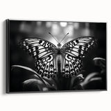 Framed wall art showcasing a colorful butterfly design from the Insect and Arachnid collection, featuring a sleek black frame and a side view perspective, perfect for enhancing modern decor with a touch of nature.