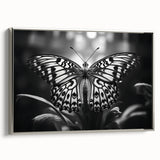 Framed canvas wall art showcasing a vibrant butterfly design from the insect and arachnid collection, elegantly displayed with a sleek silver frame. Ideal for nature-themed decor.