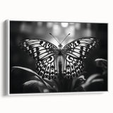 Framed canvas wall art collection showcasing a vibrant butterfly design against a white background, highlighting intricate details and elegant framing, ideal for home decor.