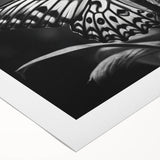 Colorful butterfly and arachnid wall art design on rolled canvas, showcasing intricate details and vibrant hues, perfect for nature-inspired decor.