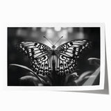 Vibrant wall art print featuring a butterfly design with intricate insect and arachnid details, showcasing bold colors and fine lines, perfect for nature enthusiasts.