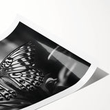 Colorful butterfly wall art design featuring intricate insect and arachnid illustrations on a rolled print, ideal for home décor or educational purposes.