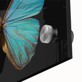 Close-up view of a vibrant butterfly wall art design featuring intricate insect and arachnid patterns on acrylic glass, showcasing vivid colors and fine details, perfect for nature enthusiasts and home decor.
