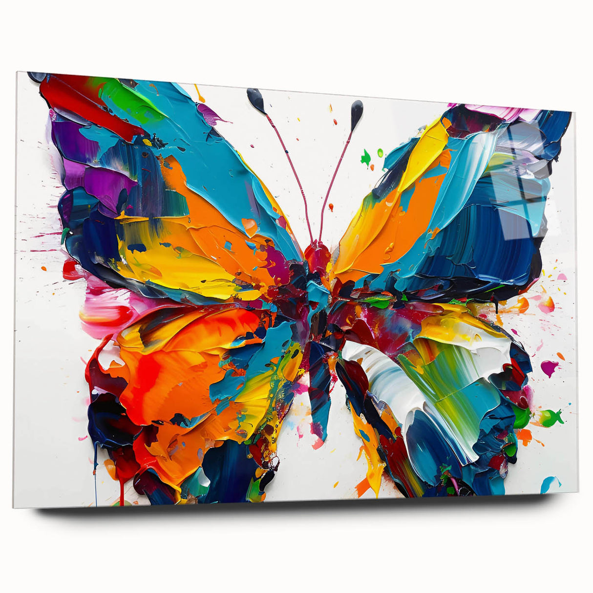 Colorful butterfly wall art collection displayed in acrylic glass, showcasing intricate insect and arachnid designs. Perfect for modern home decor.
