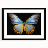 Framed wall art showcasing a vibrant butterfly and insect design, featuring a sleek black frame and mat, perfect for enhancing modern decor in any room.