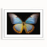 Framed wall art featuring a vibrant butterfly design within an insect and arachnid theme, showcased in a white mat, perfect for elevating modern home décor.