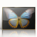 Framed wall art featuring a vibrant butterfly design, showcasing intricate insect and arachnid details with a stylish gold frame, perfect for home decor.
