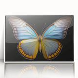 Framed wall art showcasing a vibrant butterfly design with intricate insect and arachnid details, set against a white background, perfect for modern decor.