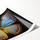 Vibrant butterfly wall art print showcasing intricate insect and arachnid designs on a rolled canvas, ideal for nature-themed decor or educational spaces.