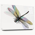 Acrylic glass wall art featuring a detailed dragonfly design from the Insect and Arachnid collection, showcasing vibrant colors and intricate patterns, perfect for nature enthusiasts.