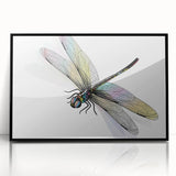 Framed wall art featuring a detailed dragonfly design with vibrant colors on a black background, perfect for nature lovers and home decor enthusiasts.