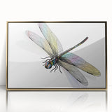 Framed wall art showcasing an intricate dragonfly design with vivid colors and gold accents, perfect for enhancing modern home decor. Ideal for nature lovers and art enthusiasts.