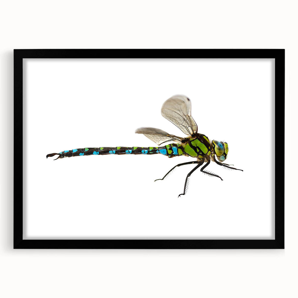 Framed wall art featuring a detailed dragonfly design, with a sleek black frame and matting, perfect for nature enthusiasts and modern decor.