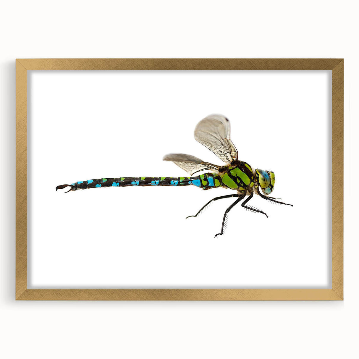 Framed wall art featuring a dragonfly design in gold, showcasing intricate details on a white mat, perfect for nature lovers and home decor enthusiasts.