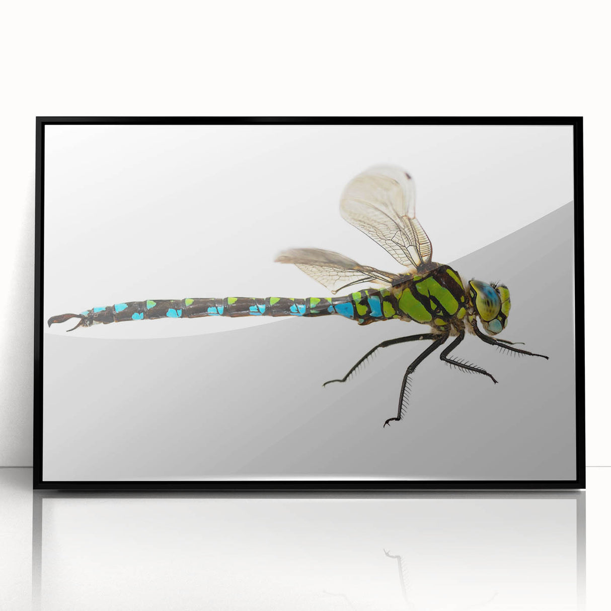 Framed wall art featuring a detailed dragonfly design in vibrant colors, set against a sleek black background, ideal for nature-inspired decor.