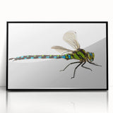 Framed wall art featuring a detailed dragonfly design in vibrant colors, set against a sleek black background, ideal for nature-inspired decor.