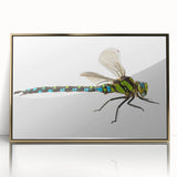 Framed wall art featuring a vibrant dragonfly design in gold acrylic, showcasing intricate details and textures, perfect for adding elegance to home decor.