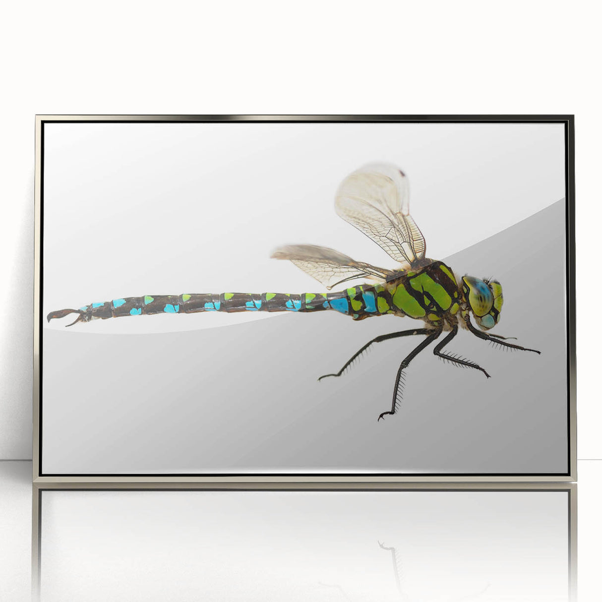 Framed wall art featuring a detailed dragonfly design in vibrant colors, set against a sleek silver frame, ideal for nature-inspired decor in modern interiors.