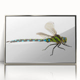 Framed wall art featuring a detailed dragonfly design in vibrant colors, set against a sleek silver frame, ideal for nature-inspired decor in modern interiors.