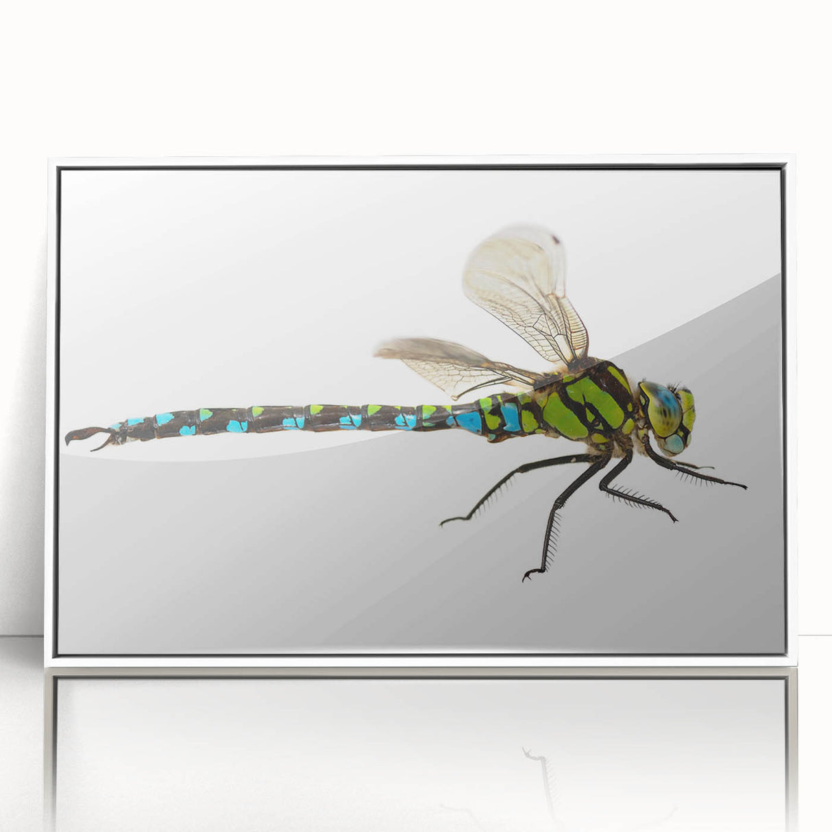 Framed wall art featuring a vibrant dragonfly design in a white frame, showcasing intricate details and colors, perfect for insect-themed decor.