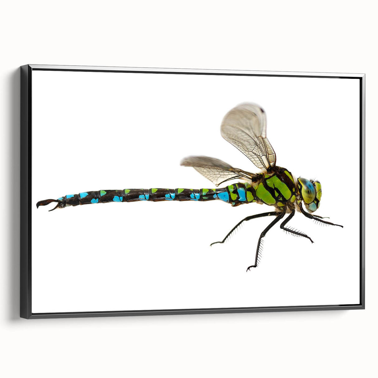 Framed wall art featuring a dragonfly design on a textured black canvas, showcasing intricate details and vibrant colors, perfect for nature-themed decor.