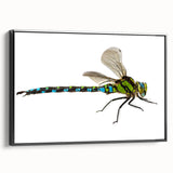 Framed wall art featuring a dragonfly design on a textured black canvas, showcasing intricate details and vibrant colors, perfect for nature-themed decor.