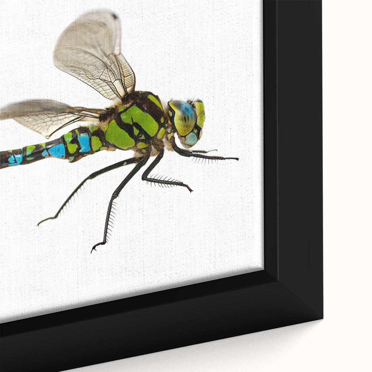 Close-up of a framed canvas wall art showcasing a detailed dragonfly design, featuring vibrant colors and intricate patterns, perfect for nature-themed decor.