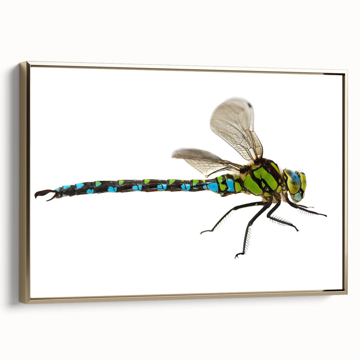 Framed canvas wall art featuring a detailed dragonfly design with intricate patterns and gold accents, set against a dark background, ideal for nature-themed decor.