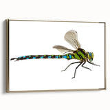 Framed canvas wall art featuring a detailed dragonfly design with intricate patterns and gold accents, set against a dark background, ideal for nature-themed decor.