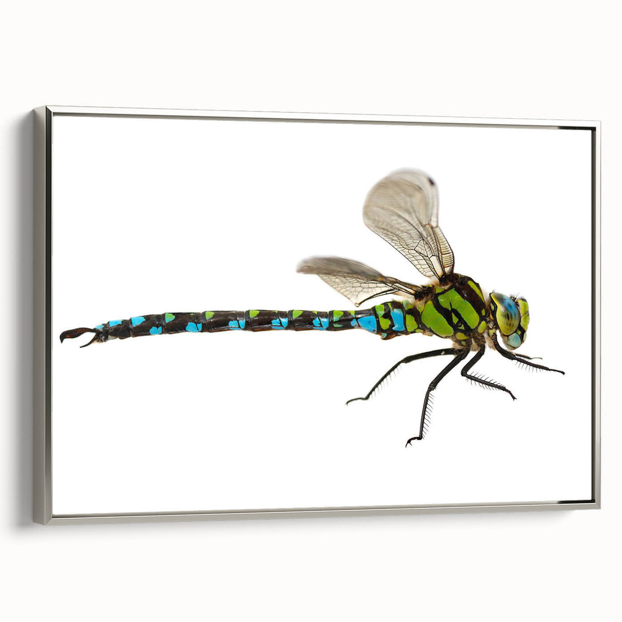 Framed wall art featuring a silver-framed dragonfly design, showcasing intricate details and vibrant colors, perfect for home decor enthusiasts and nature lovers.