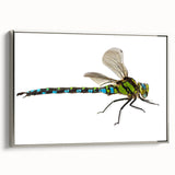 Framed wall art featuring a silver-framed dragonfly design, showcasing intricate details and vibrant colors, perfect for home decor enthusiasts and nature lovers.