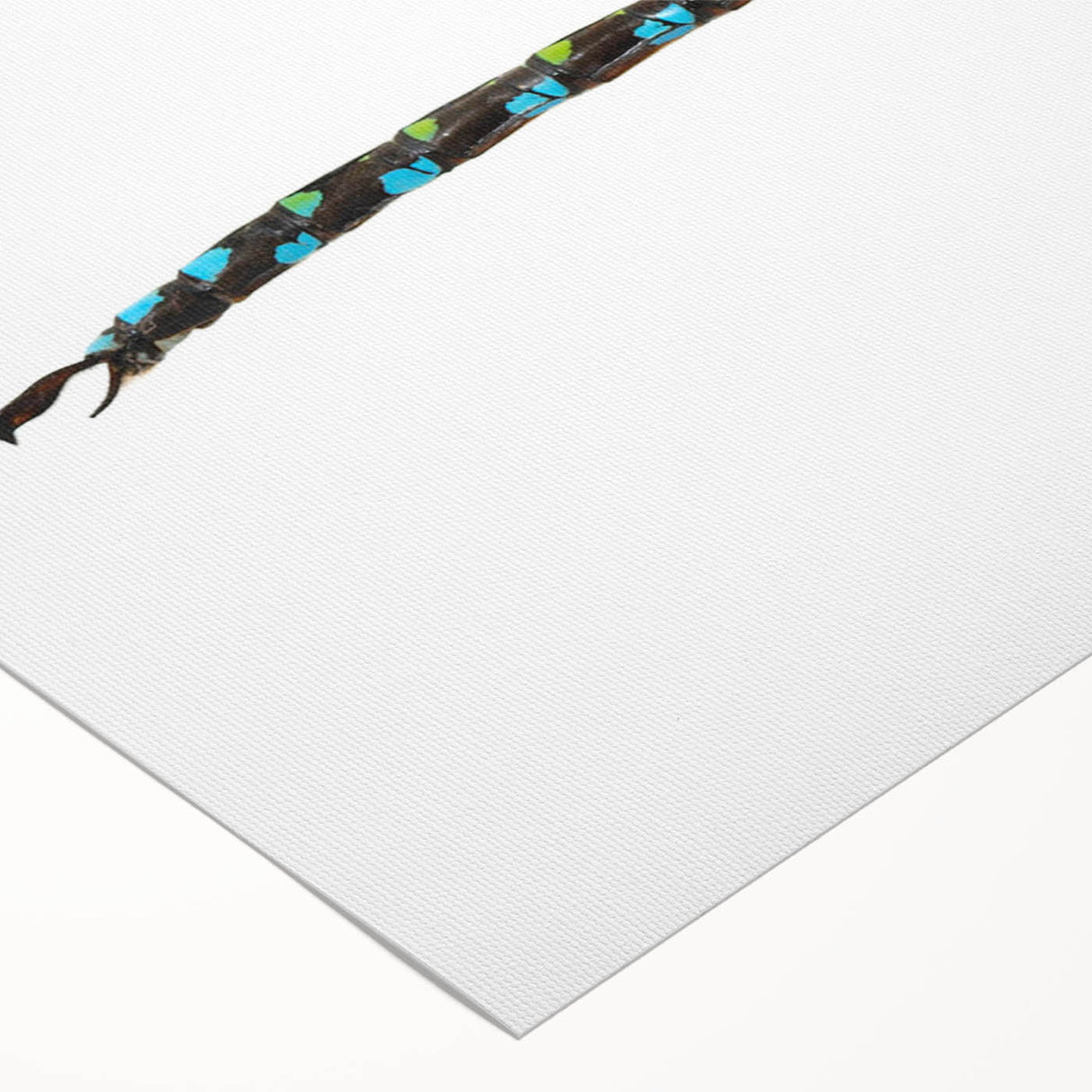 Colorful rolled canvas wall art depicting a dragonfly design, showcasing intricate details and vibrant hues, perfect for nature-themed decor and interior design.
