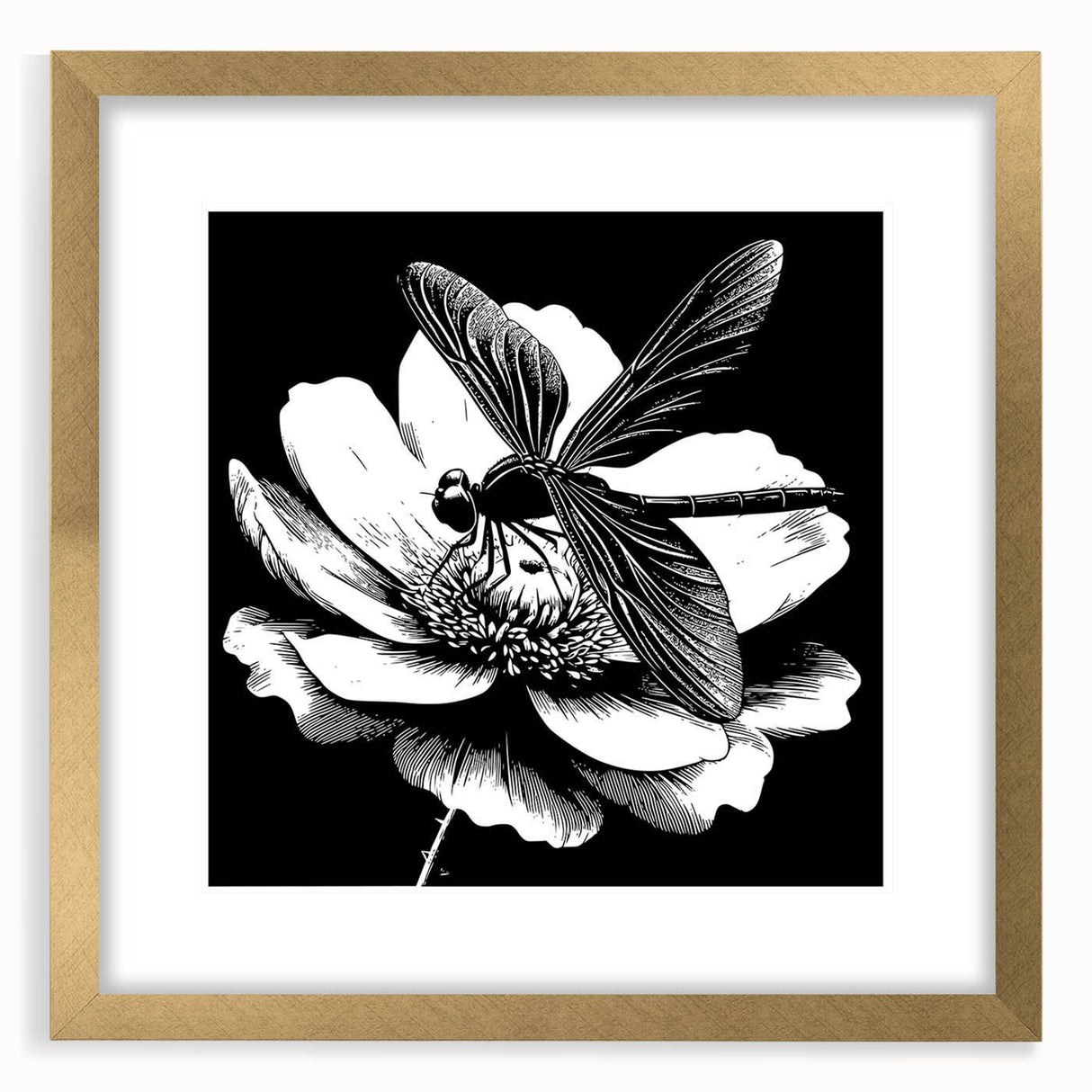 Gold-framed dragonfly wall art featuring intricate insect and arachnid designs, elegantly matted for a contemporary decor aesthetic. Perfect for nature lovers.