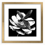 Gold-framed dragonfly wall art featuring intricate insect and arachnid designs, elegantly matted for a contemporary decor aesthetic. Perfect for nature lovers.