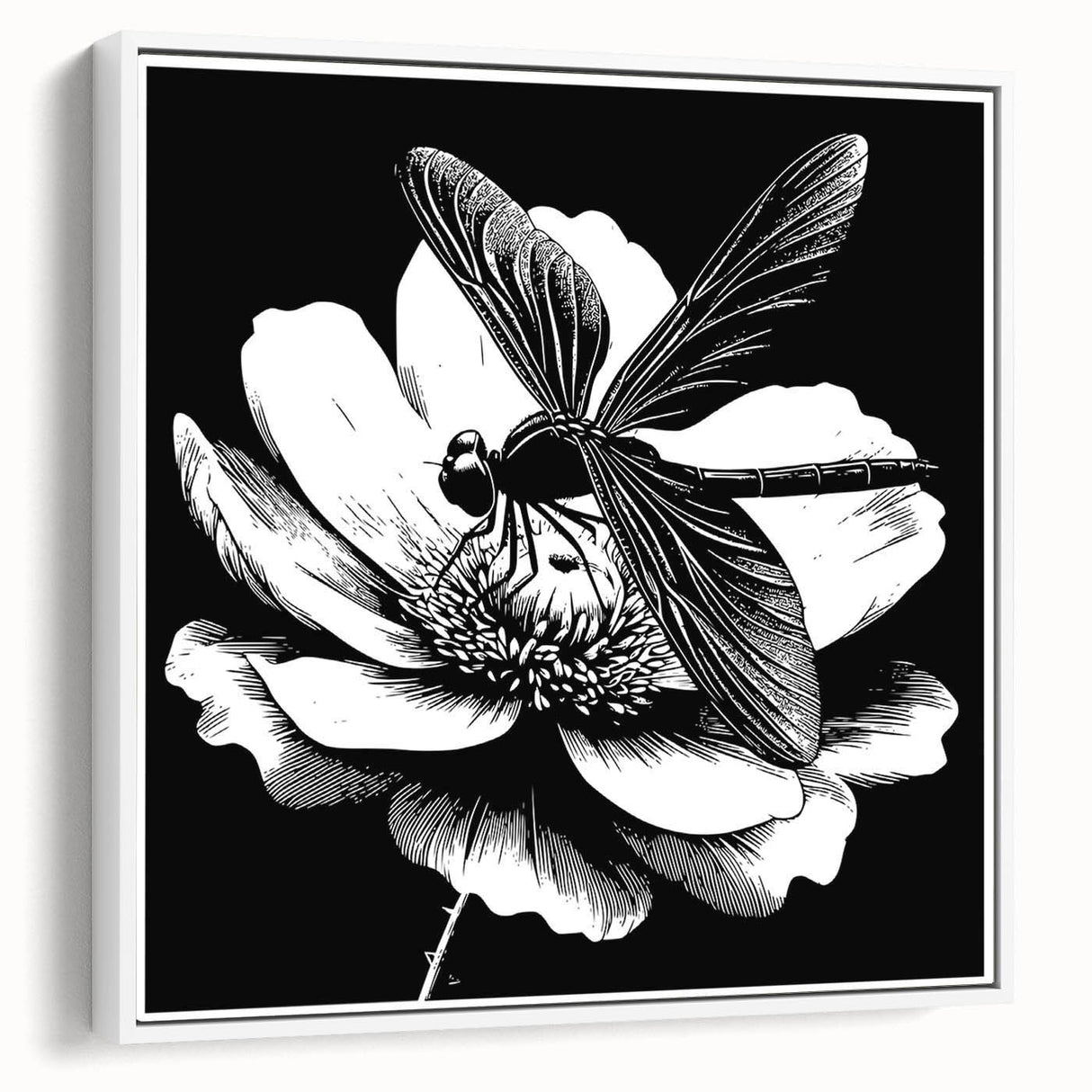 Framed canvas wall art showcasing a detailed dragonfly design in vibrant colors, set against a white background, ideal for insect-themed decor in modern interiors.