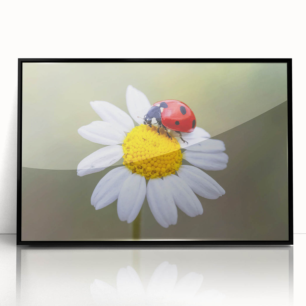 Framed wall art featuring a vibrant ladybug design in a black frame, showcasing intricate details and colors, ideal for insect lovers and modern decor.