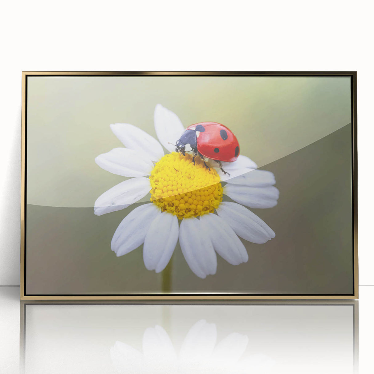 Framed wall art featuring a vibrant ladybug design with intricate details, set in a sleek gold frame, perfect for adding a touch of nature-themed decor to any space.