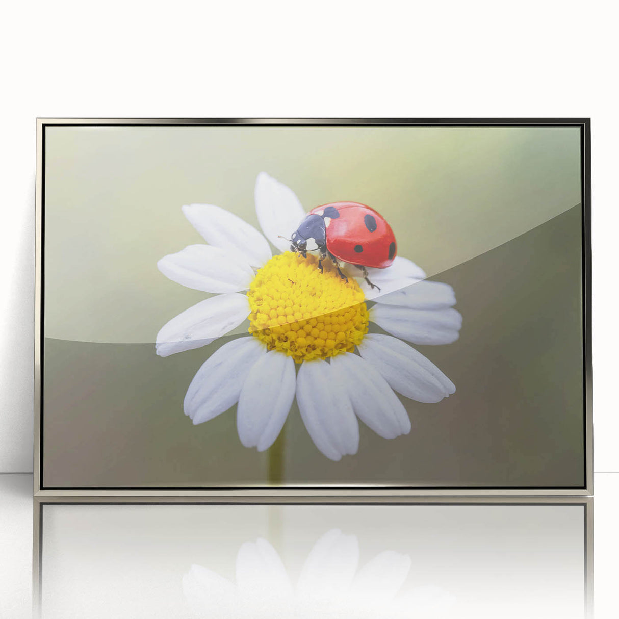Framed acrylic wall art featuring a vibrant ladybug design, showcasing intricate details and vivid colors, perfect for adding a touch of nature-inspired decor to any space.