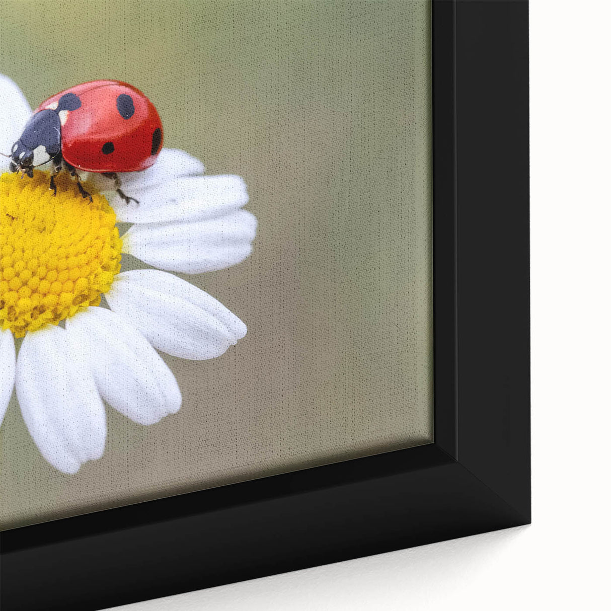 Close-up of a vibrant ladybug design on a framed canvas wall art piece, showcasing intricate details and vivid colors, perfect for nature-themed decor.