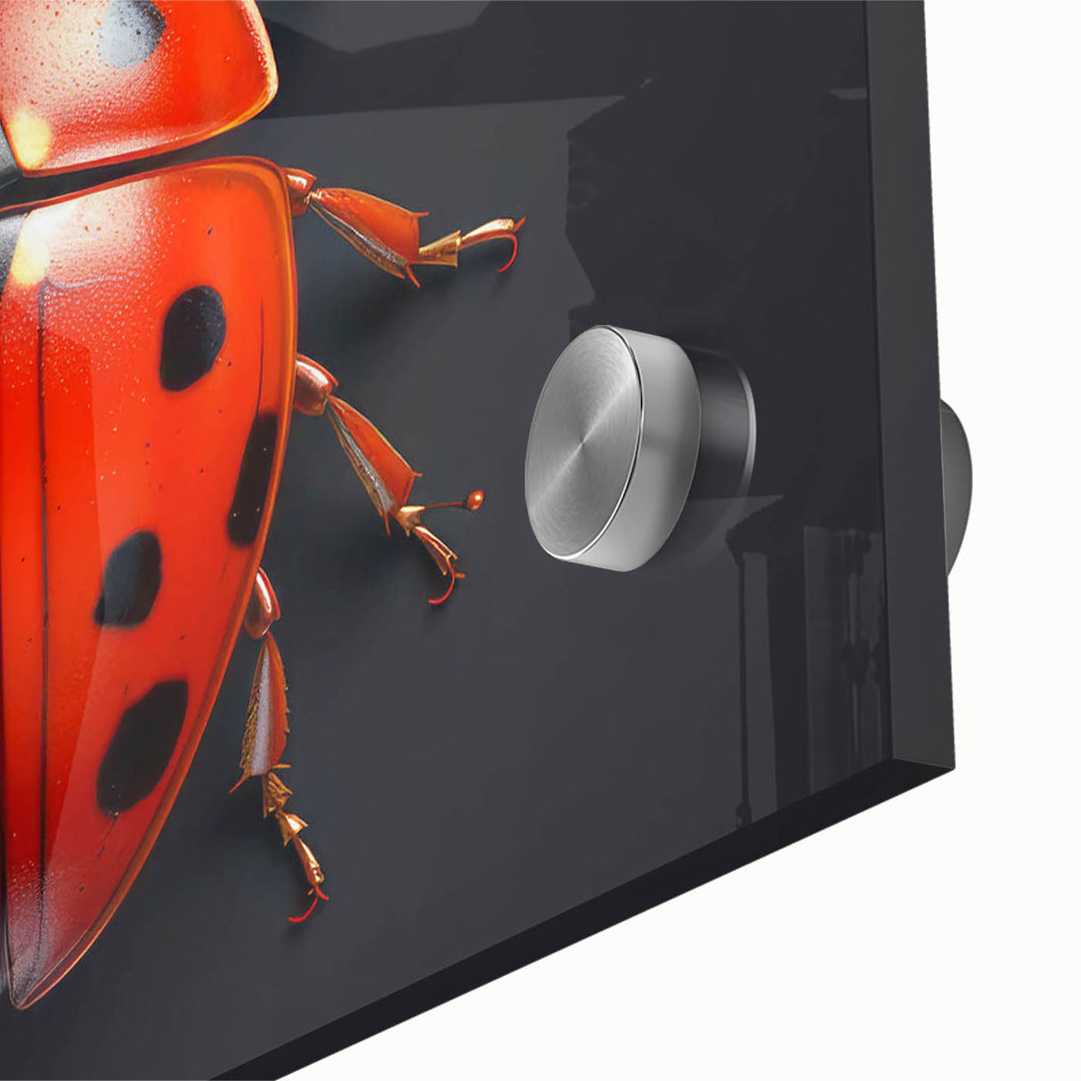 Close-up of a vibrant ladybug acrylic wall art piece, showcasing intricate details and bold colors, perfect for nature lovers and home decor enthusiasts. This unique design captures the beauty of insects, adding a whimsical touch to any space.