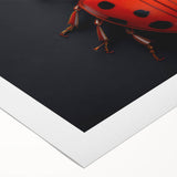 Rolled canvas artwork showcasing a vibrant ladybug design, featuring vivid red and black colors, ideal for insect-themed decor in children's rooms or nature-inspired spaces.