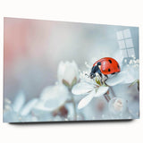 Vibrant acrylic wall art featuring a detailed ladybug design, showcasing intricate patterns and colors, ideal for insect-themed decor and art enthusiasts.