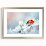 Framed wall art featuring a vibrant ladybug design from the Insect and Arachnid collection, elegantly displayed with a silver frame and mat. Perfect for nature lovers.