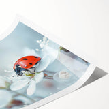 Vibrant rolled print of a ladybug design, showcasing intricate details and bold colors, perfect for nature-themed decor. Ideal for adding a playful touch to any room.