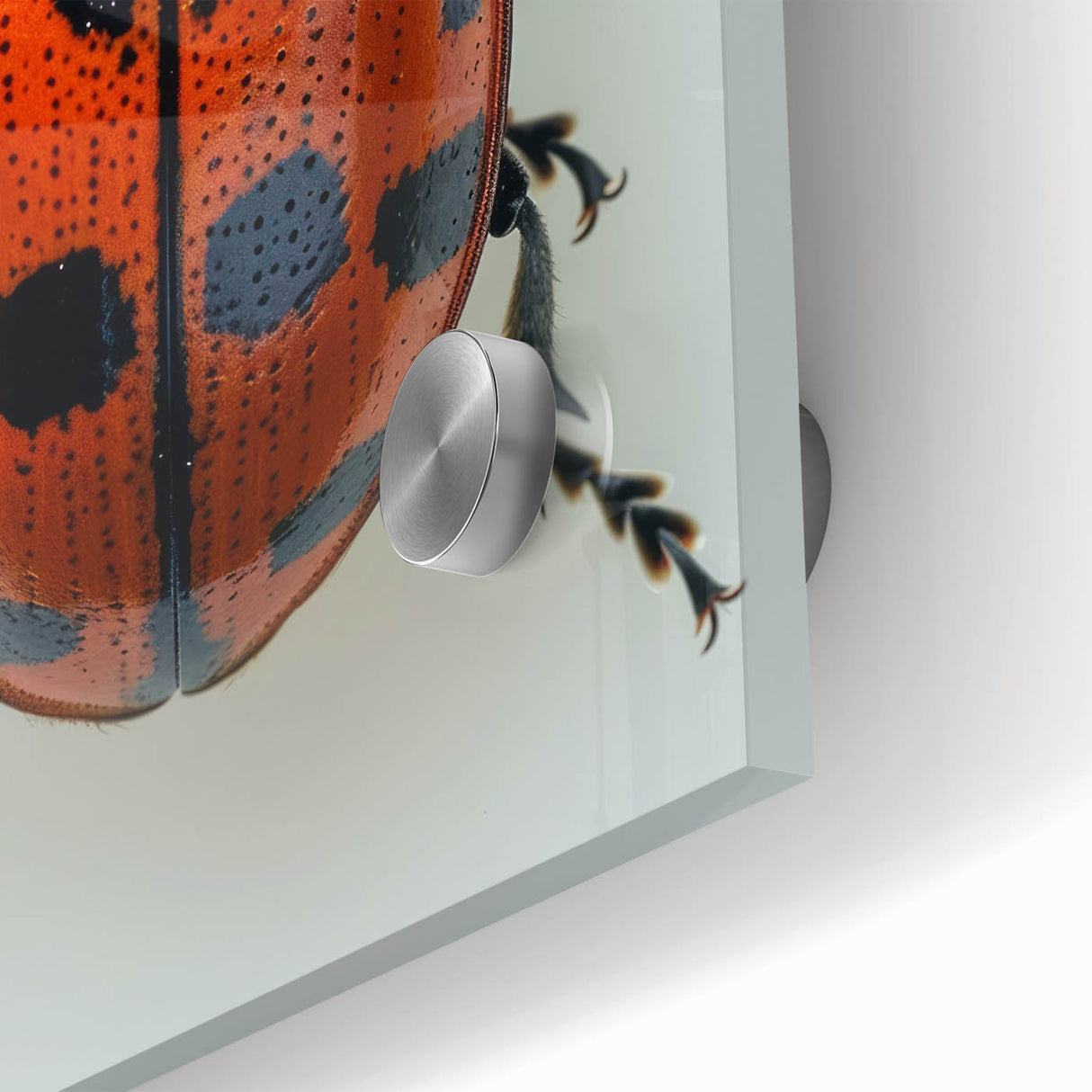 Close-up of a vibrant ladybug design on acrylic glass, showcasing intricate details and colors, perfect for insect and arachnid-themed wall art collection.