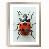 Framed wall art collection featuring a vibrant ladybug design on a white background, with a sleek silver frame and mat, perfect for insect enthusiasts.